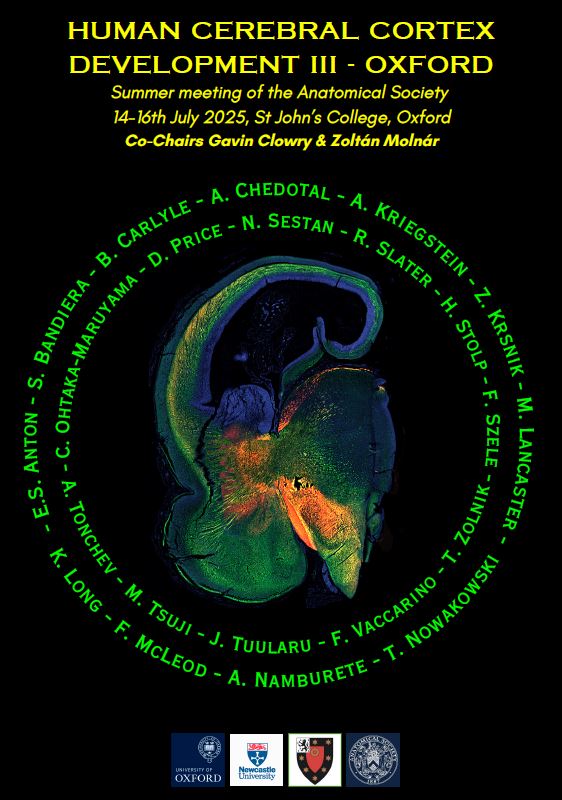 Anatomical Society Meeting Oxford Poster