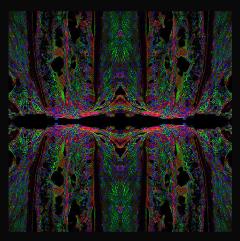 Tooth root kaleidoscope