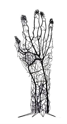 AnatomyRooms_BodyMatters AnatomyRooms_BodyMatters