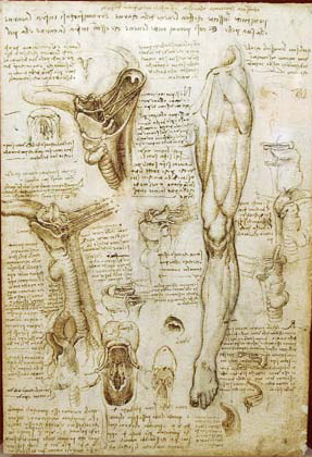 History of Leonardo da Vinci drawings History of Leonardo da Vinci drawings