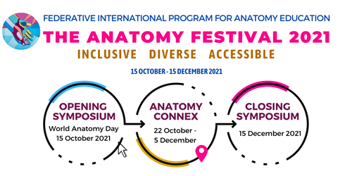 The Anatomy Festival 2021