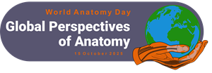 WAD25 _colour_ banner A colourful banner listing the the theme for World Anatomy Day 2025