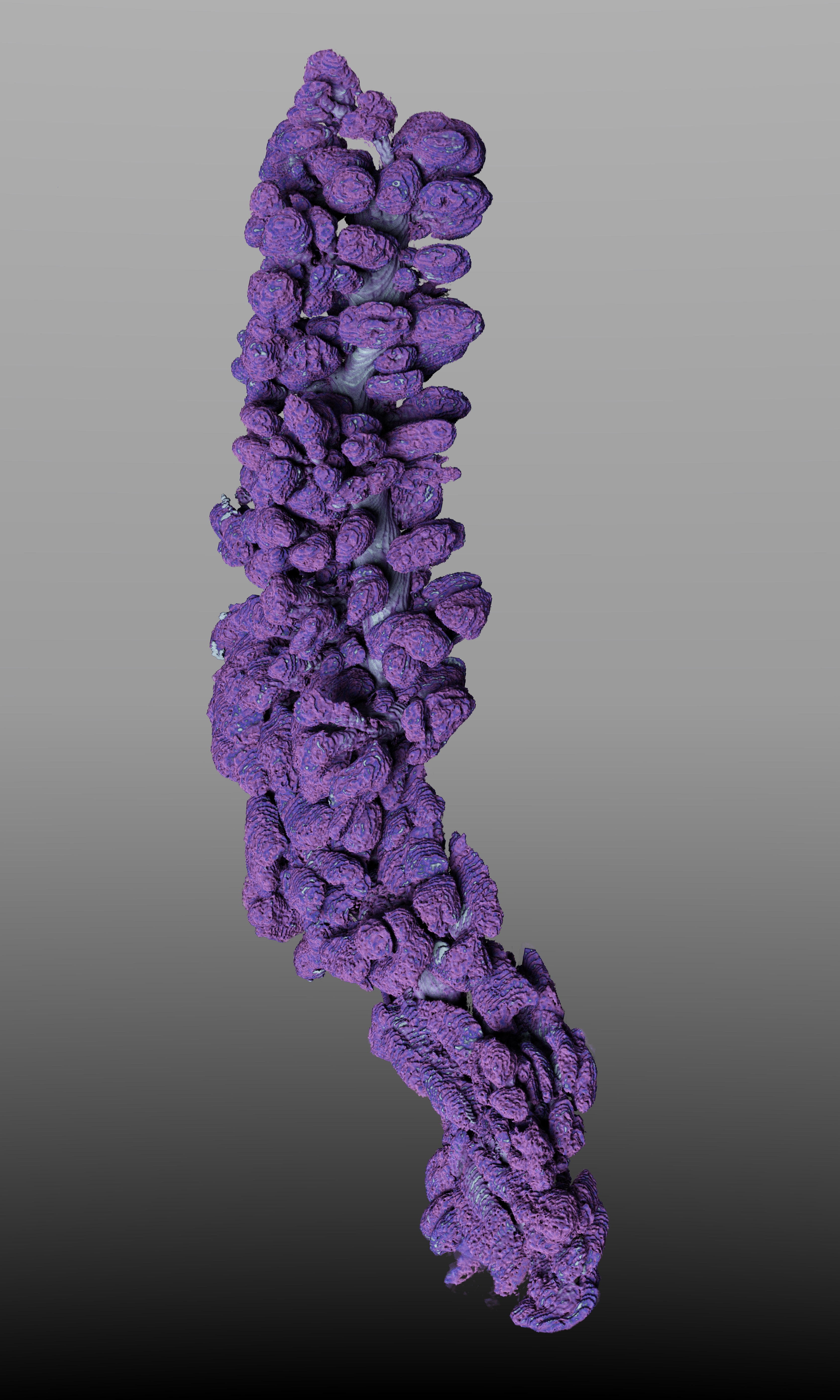Best Image Award - Science Category