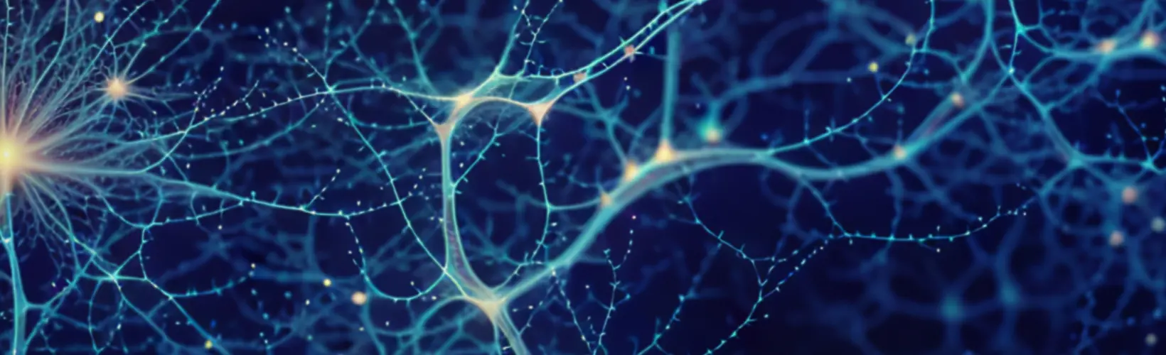 Anatomical Society Research Studentships 2025/26 – Call for Applications