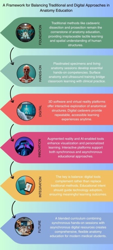 Balanced Anatomy Tradition Meets Digital StorytellingHarmony in Anatomy Education Cadavers to Digital CadaversSynergy Layouts for Anatomy TrainingNarrative Flows Traditional + Digital AnatomyPortr.jpg