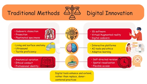 Balanced Anatomy Education Circle (1).jpg