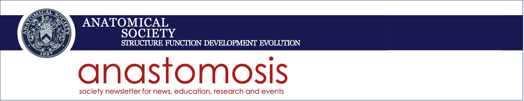Anastomosis Banner