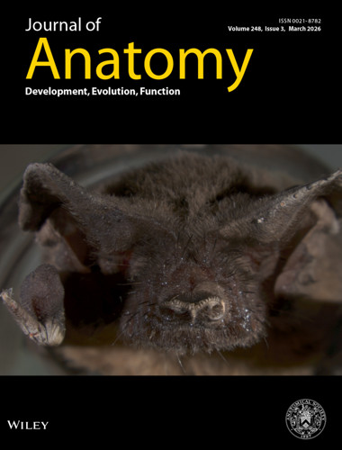 JoA Cover Image Anastomosis Feb 2026.jpg