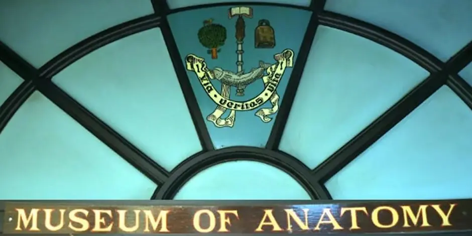 Hunterian Anatomy Museum Monthly Opening